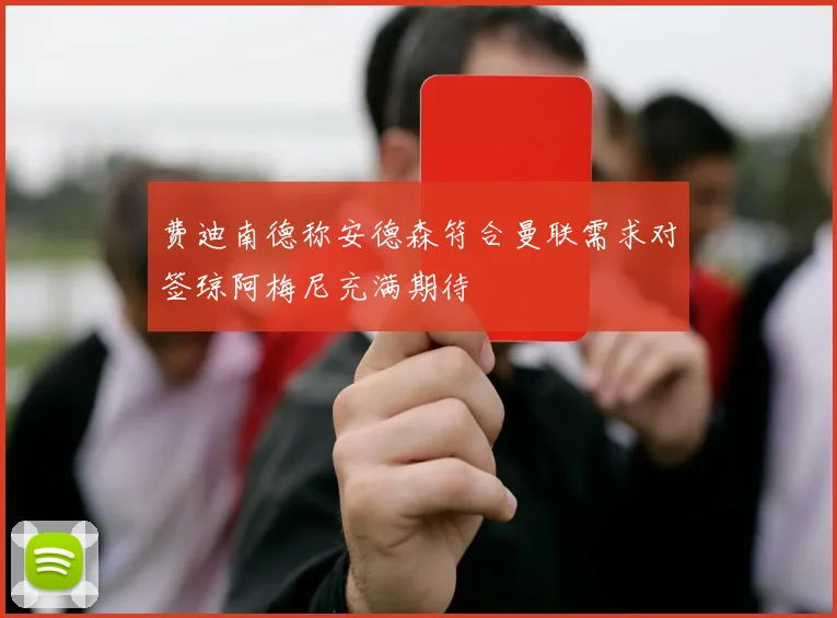 费迪南德称安德森符合曼联需求对签琼阿梅尼充满期待