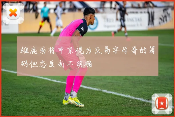 雄鹿或将申京视为交易字母哥的筹码但态度尚不明确