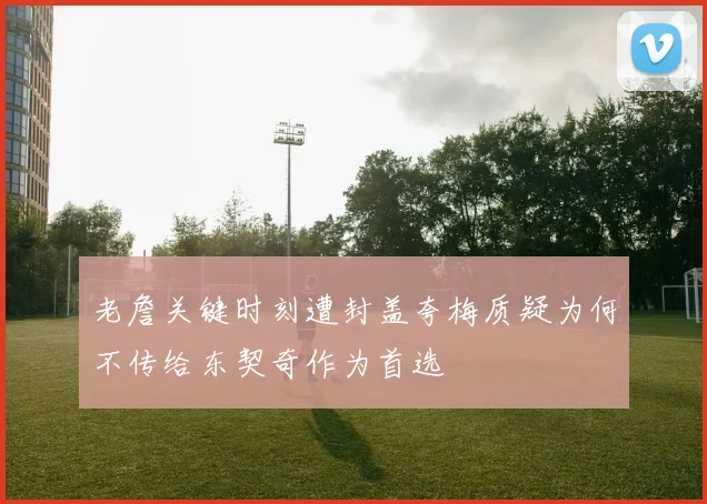 老詹关键时刻遭封盖夸梅质疑为何不传给东契奇作为首选